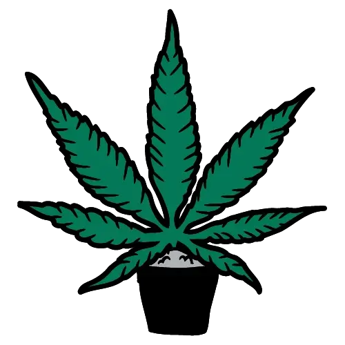 Chronic Long Beach cannabis products category