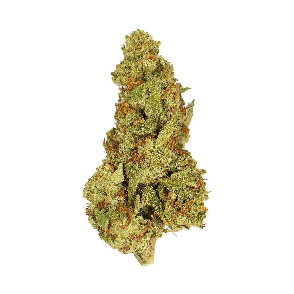 SMOAKLAND EXOTIX - Jealousy - 14g - Flower