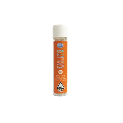 TRADITIONAL - Gelato Infused - 1g - Preroll